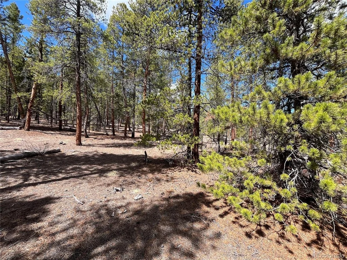 Photo of 1013 Sequoia Dr