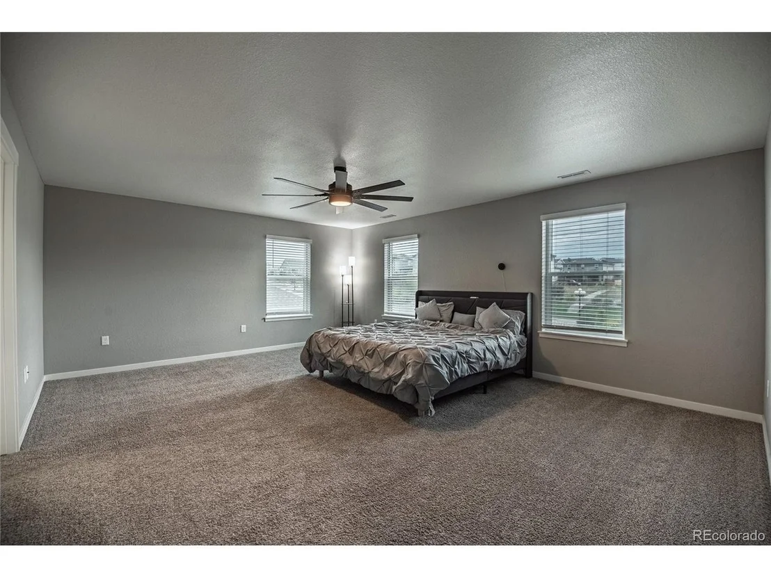 Photo of 17308 Red Cosmos Pt