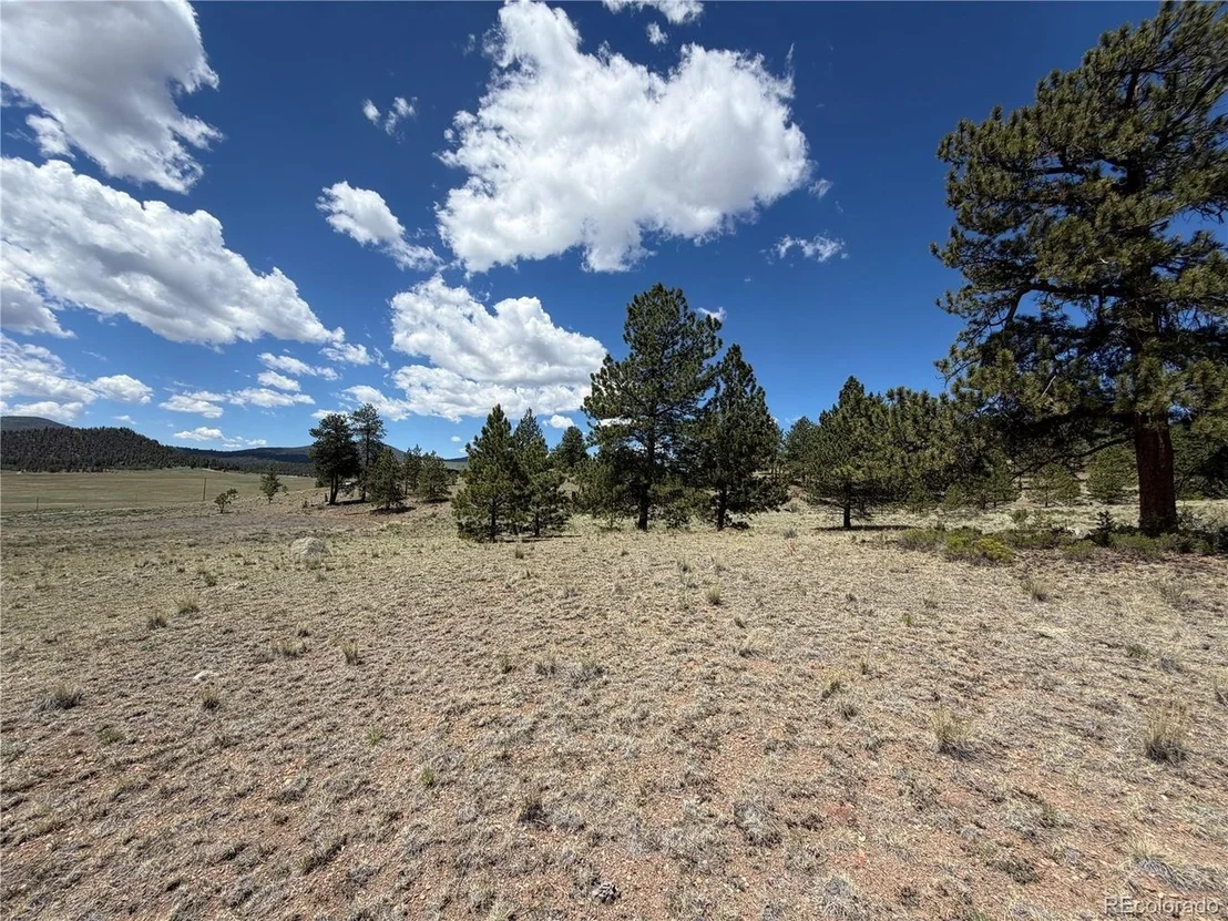 Photo of 595 Bridle Path