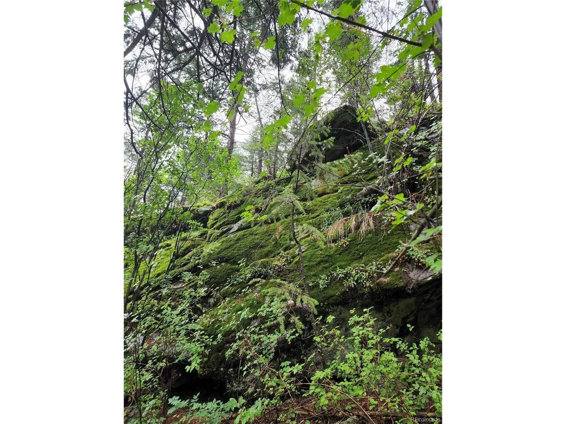 Photo of 31429 Burke Rd