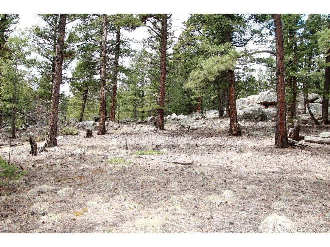 Photo of 449 Forest Dr
