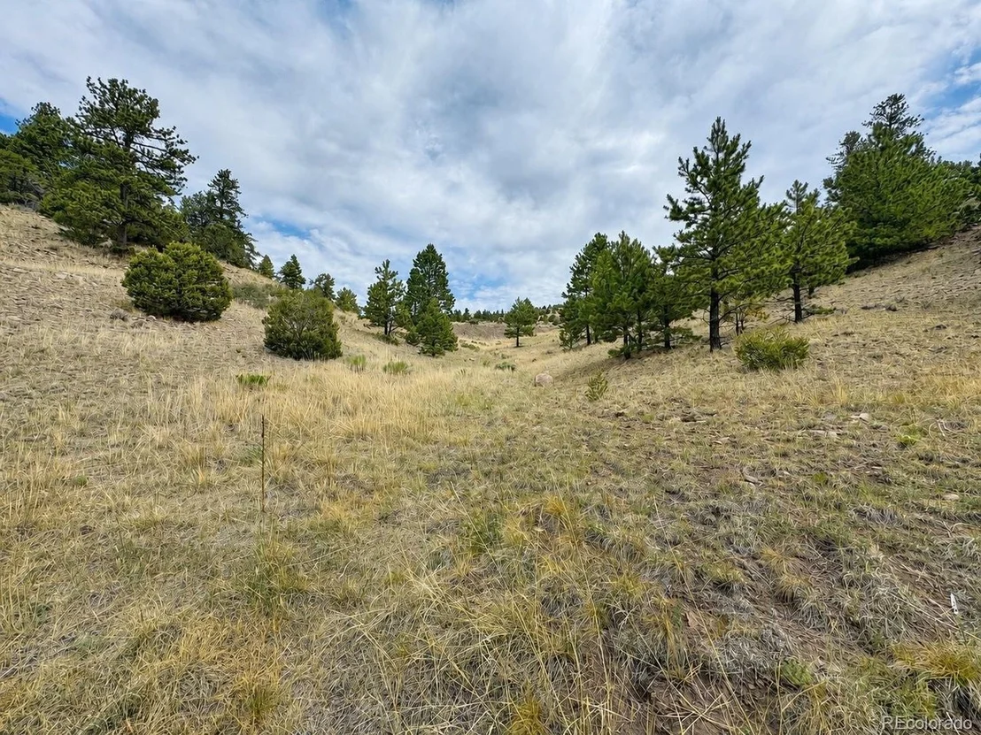 Photo of 1054 Keepsake Loop