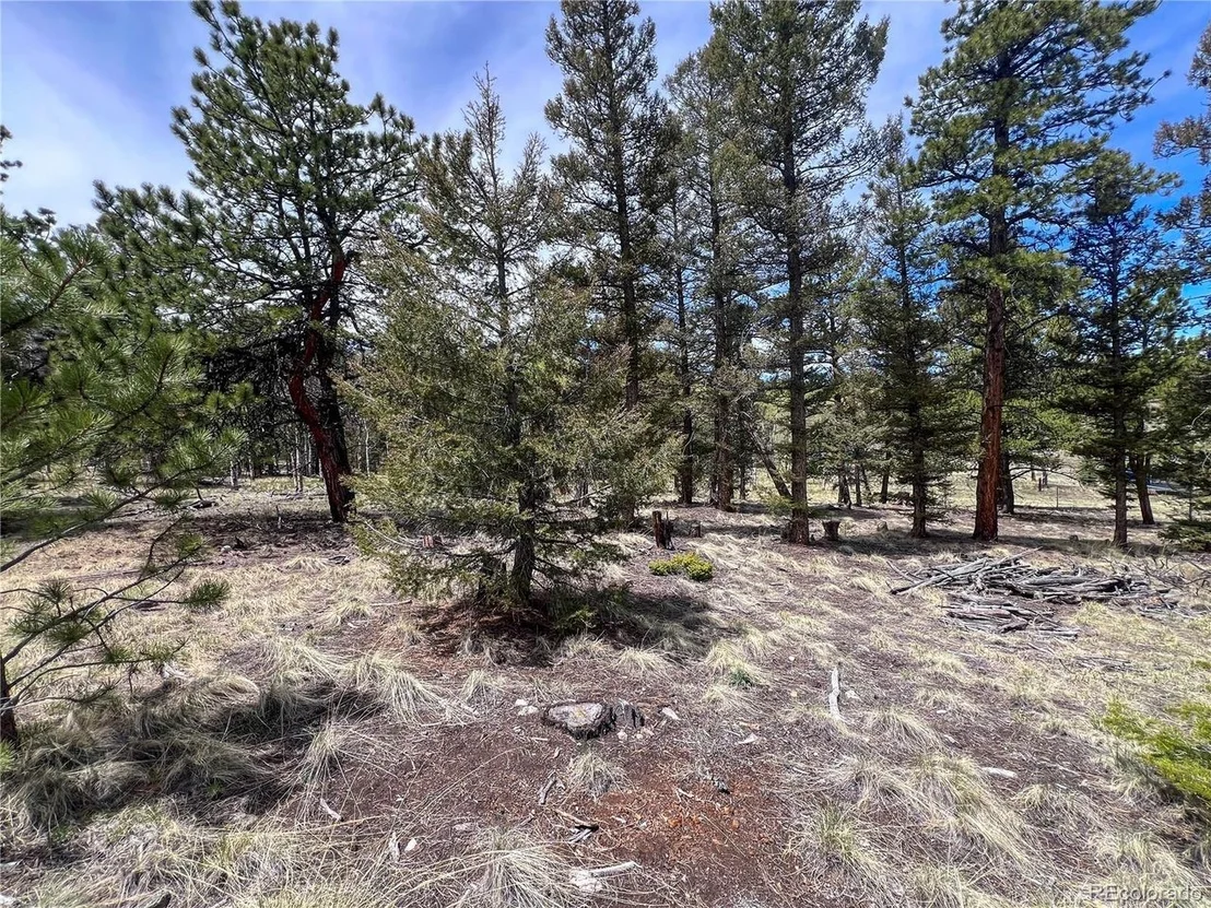 Photo of 1980 Pitchfork Rd