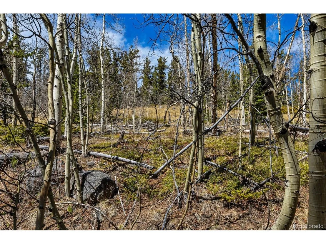 Photo of 270 Co Rd 667