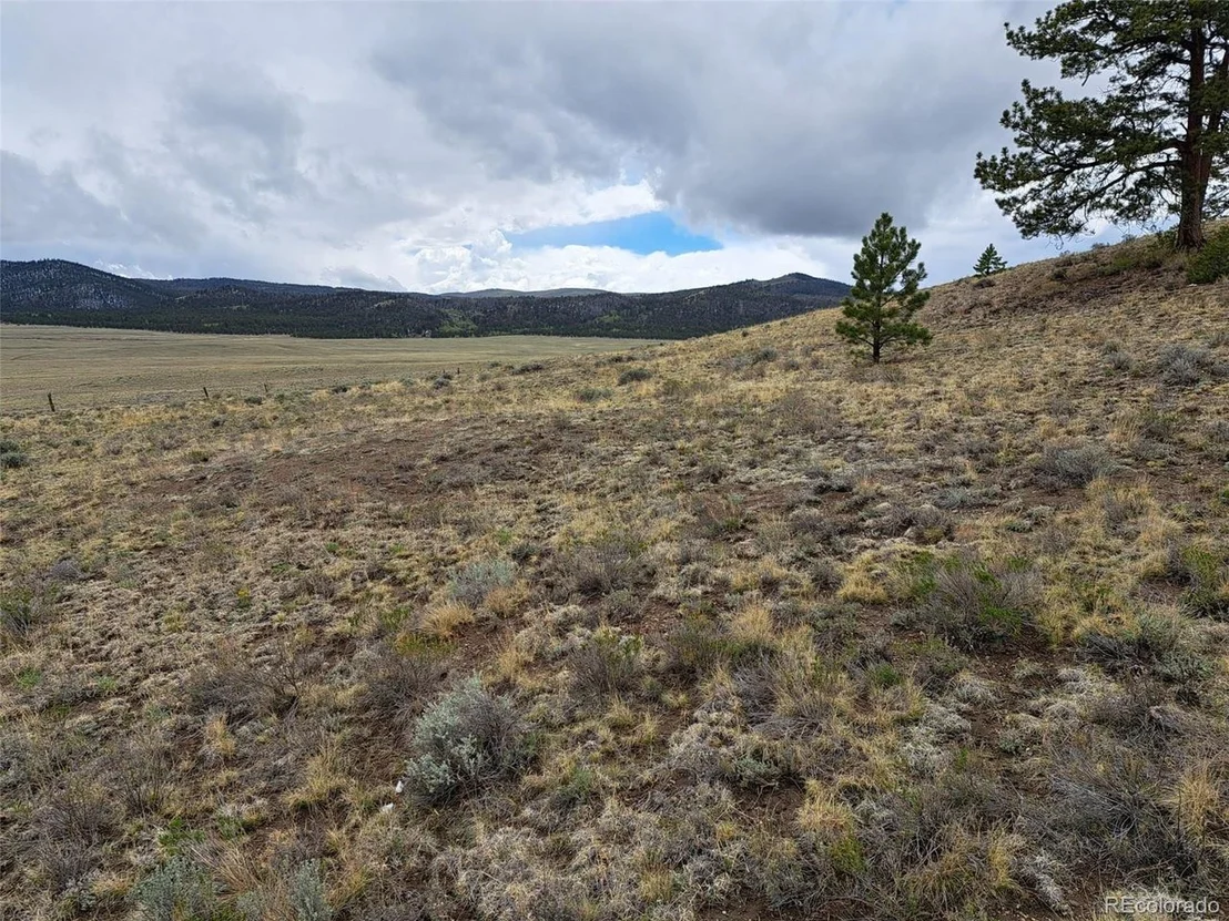 Photo of 783 Remuda