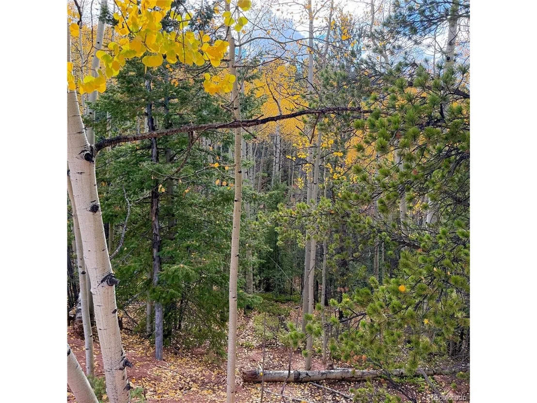 Photo of 1341 Calcite Dr