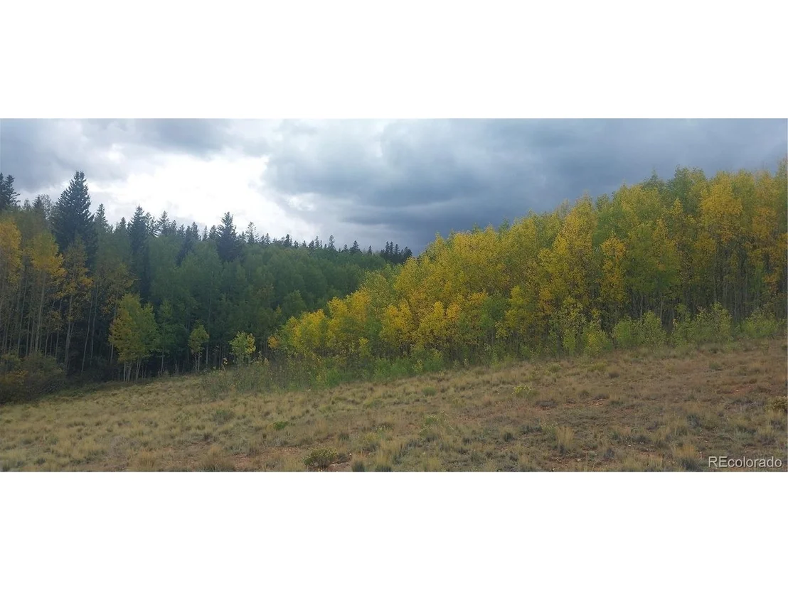 Photo of 562 Palmer Peak Dr