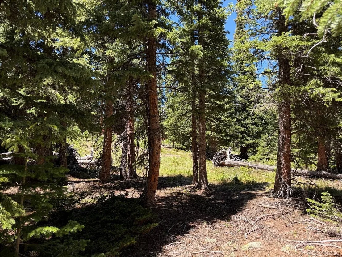 Photo of 339 Silverheels Pl