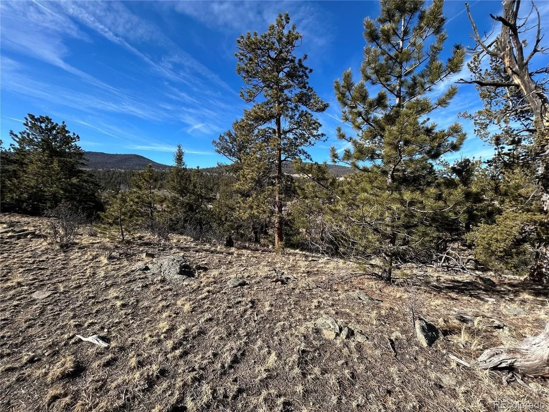 Photo of 3430 Singletree Rd