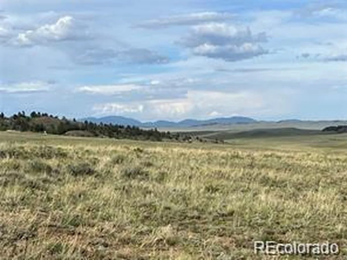 Photo of 1599 Campfire Rd