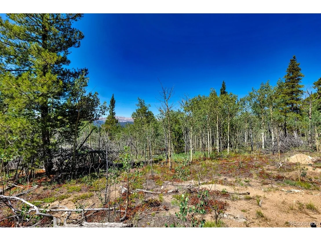 Photo of 497 TEN HIGH Ln