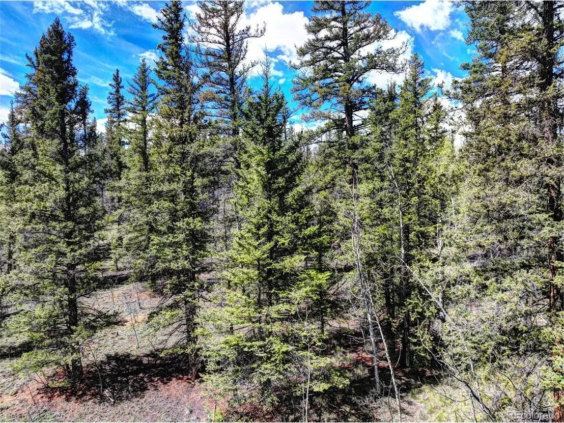 Photo of 75 Swiggler Rd