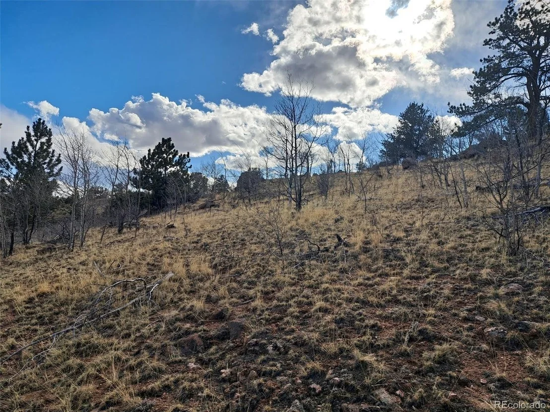 Photo of 908 Raven Way