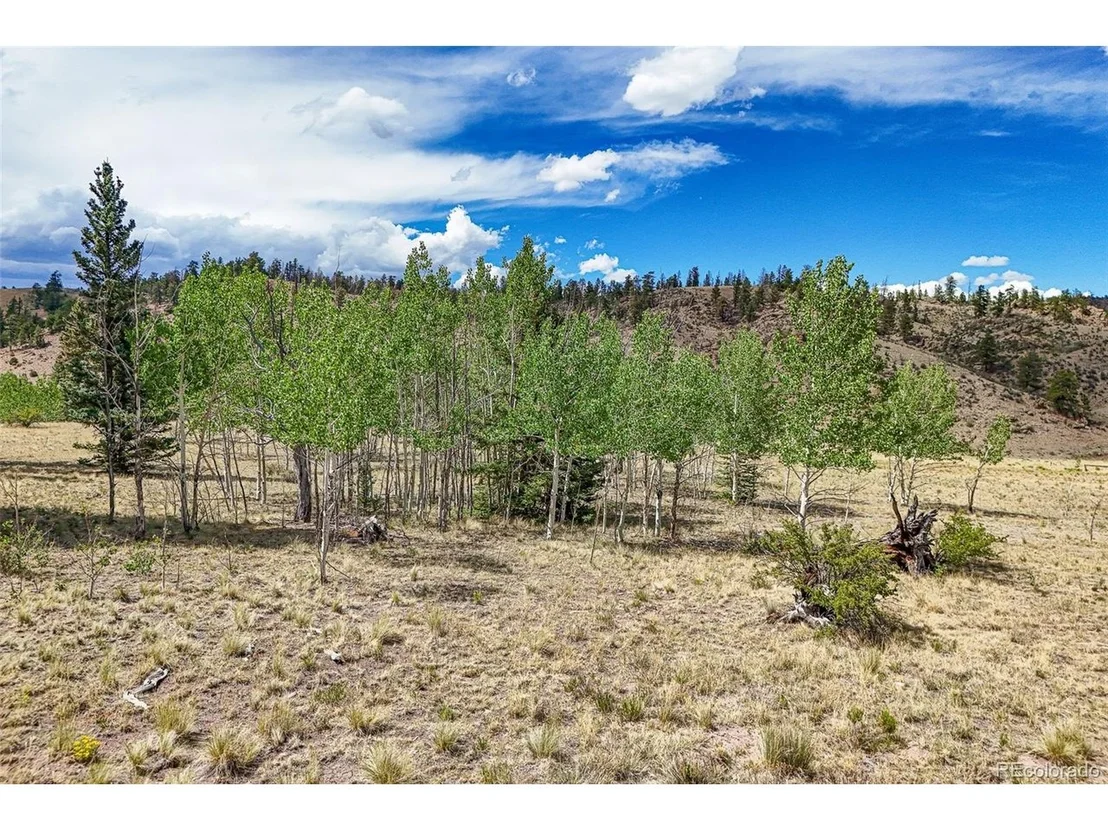 Photo of 1111 Latigo Loop