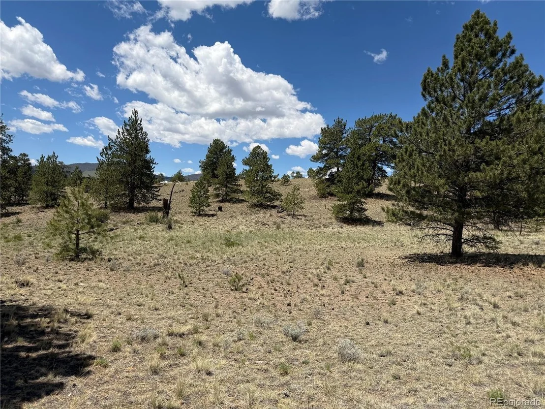 Photo of 595 Bridle Path