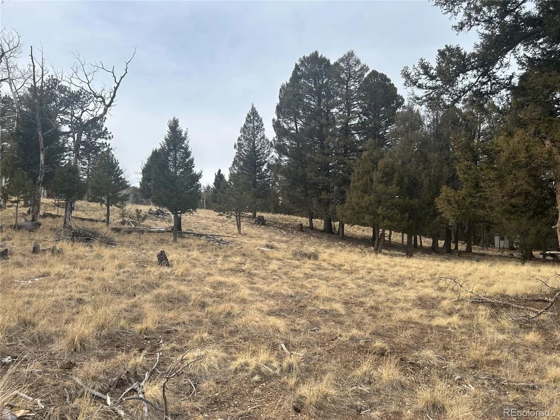 Photo of 1421 Pitchfork Rd