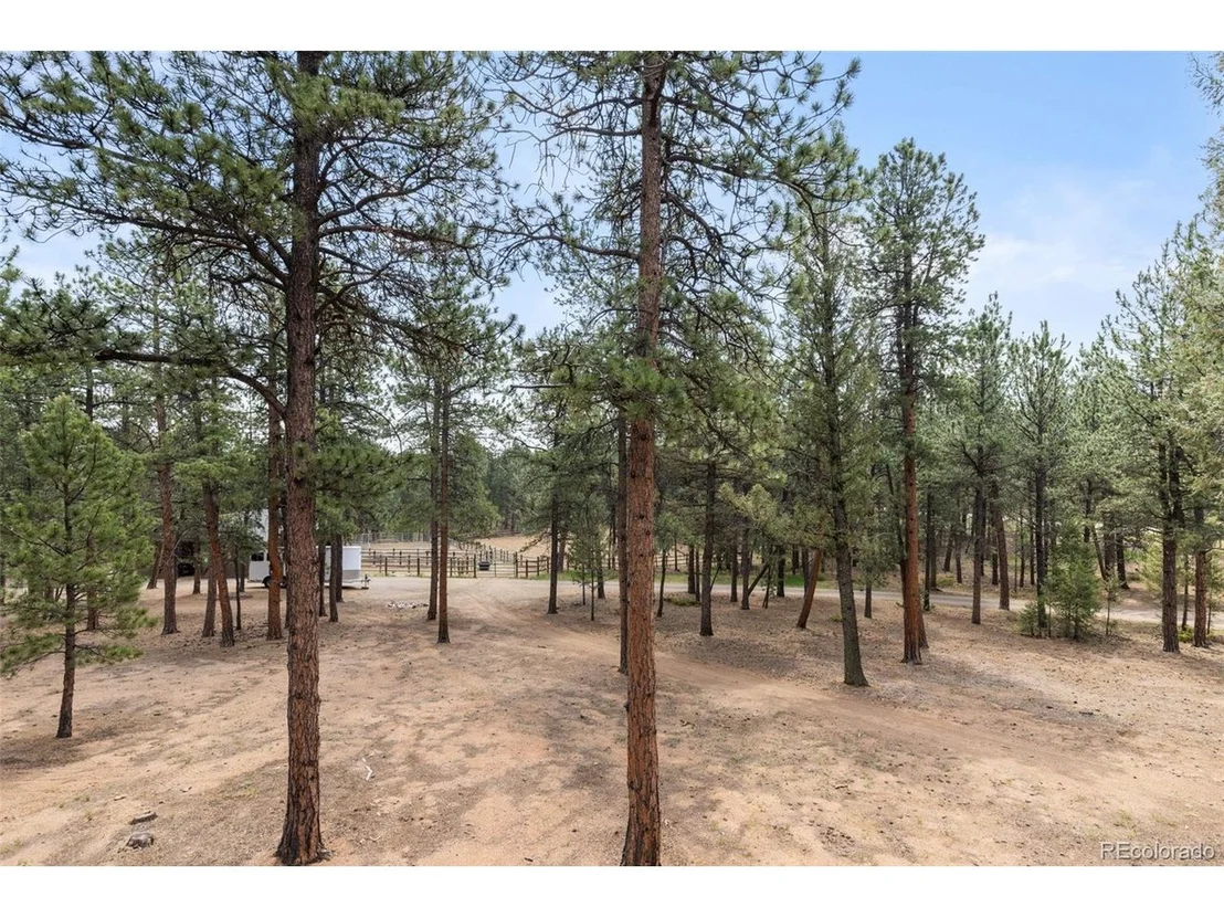 Photo of 1734 Mount Evans Blvd