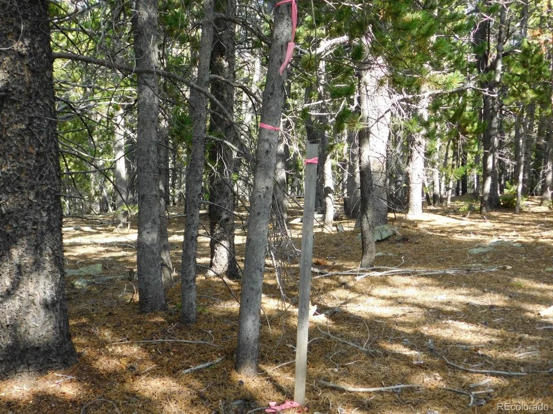 Photo of 2 Roosevelt Ridge Rd