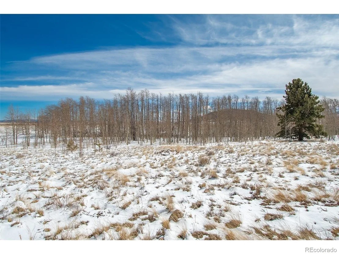 Photo of 1327 Sheep Ridge Rd