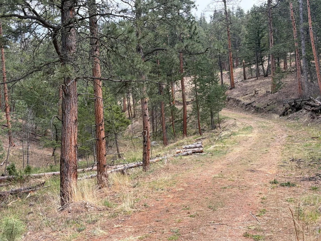 Photo of 1899 Spring Valley Rd