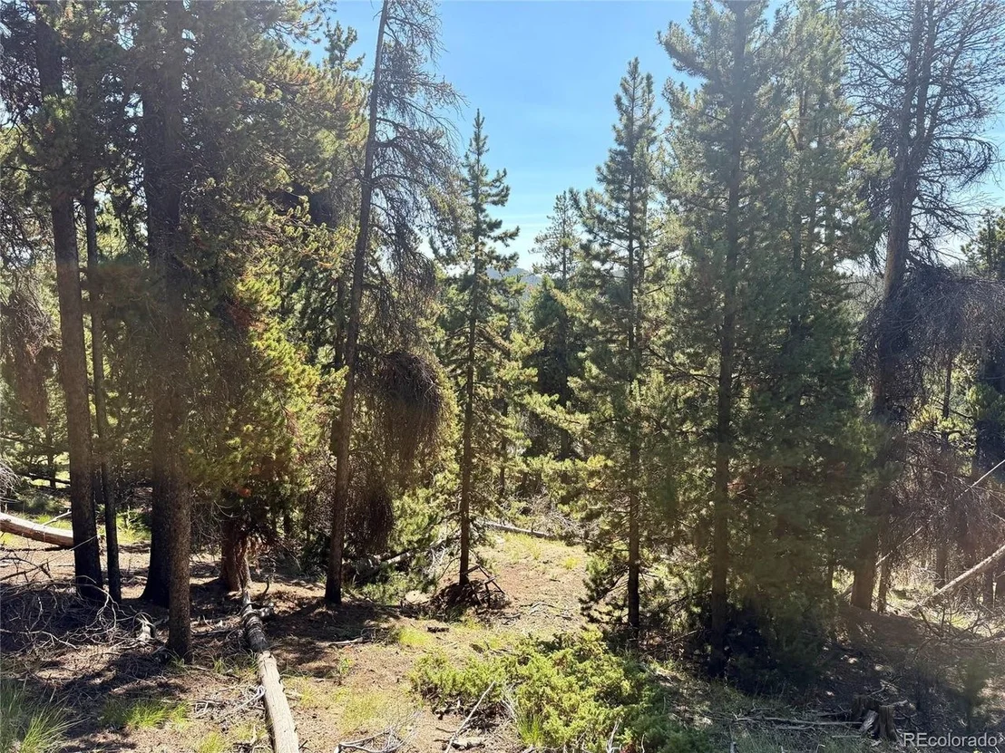 Photo of 0 Lodgepole Cir
