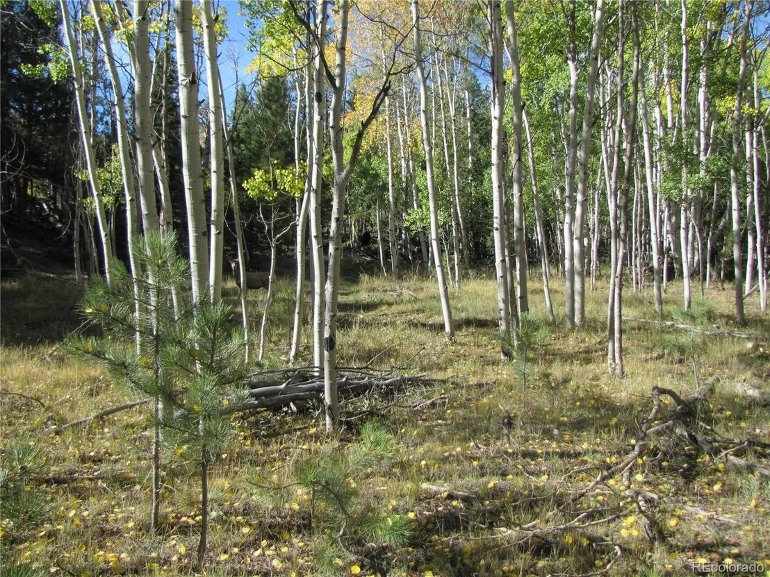 Photo of 700 Campfire Rd