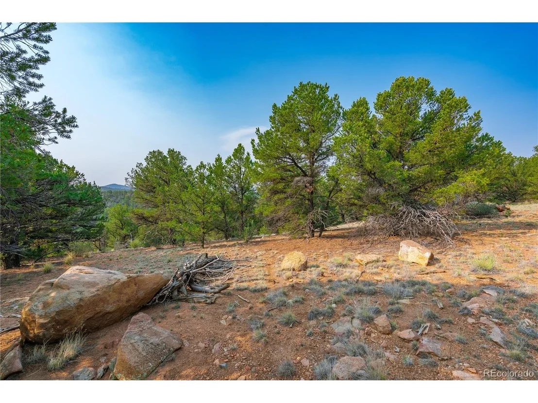 Photo of 65 Elkhorn Rd
