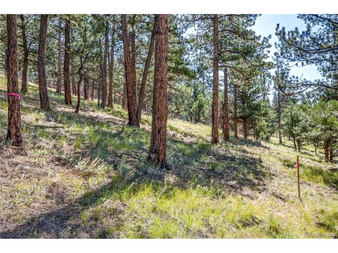 Photo of 117 County Road 83