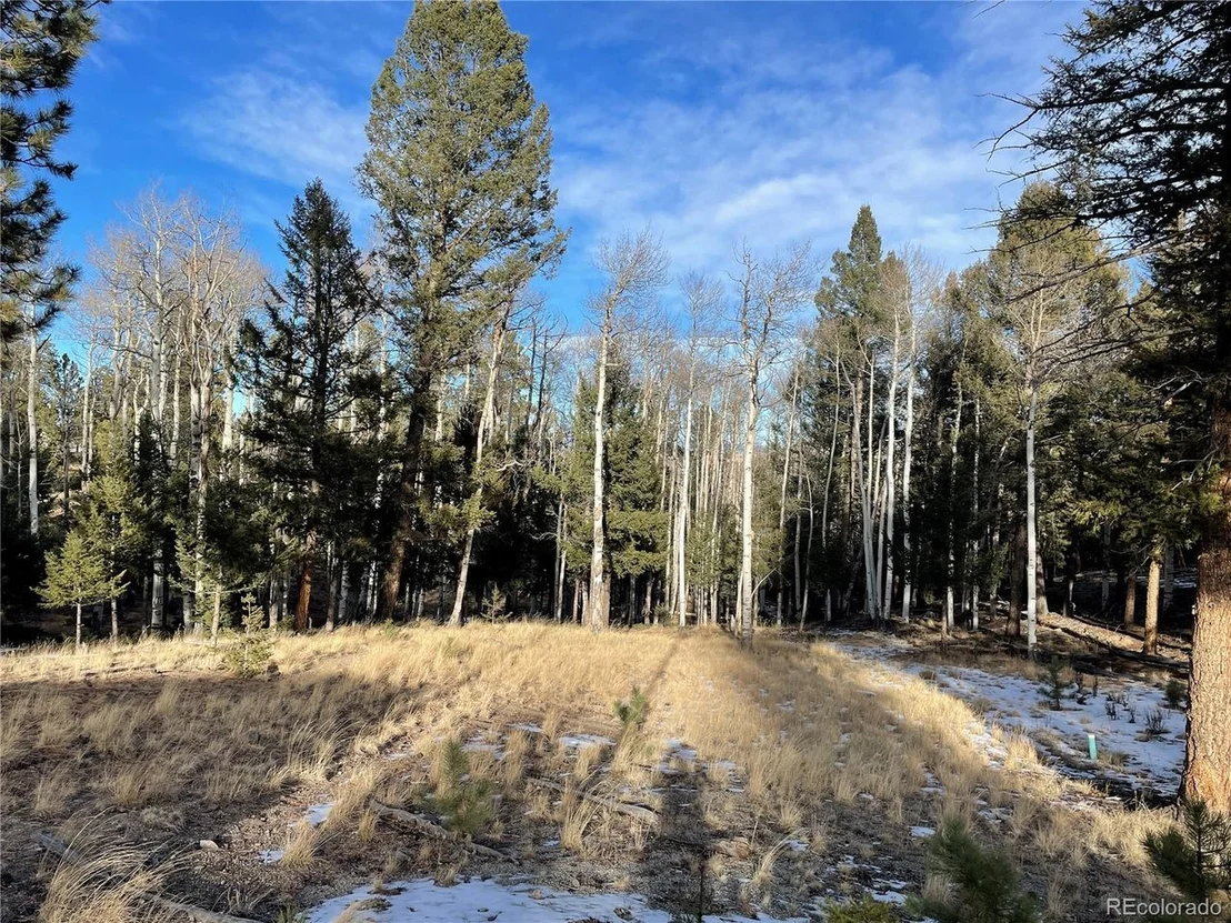 Photo of 663 Bellows Rd