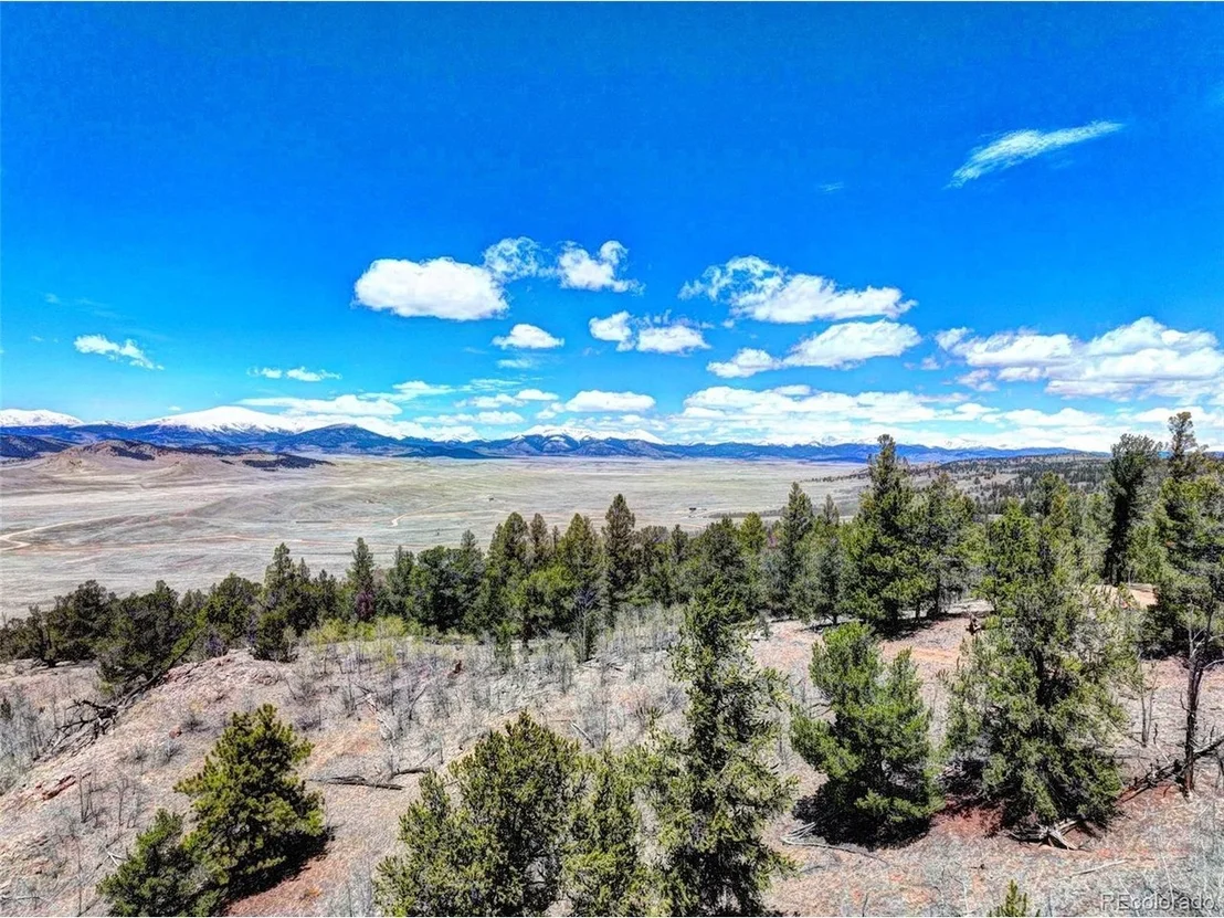 Photo of 194 Bufflehead Cir