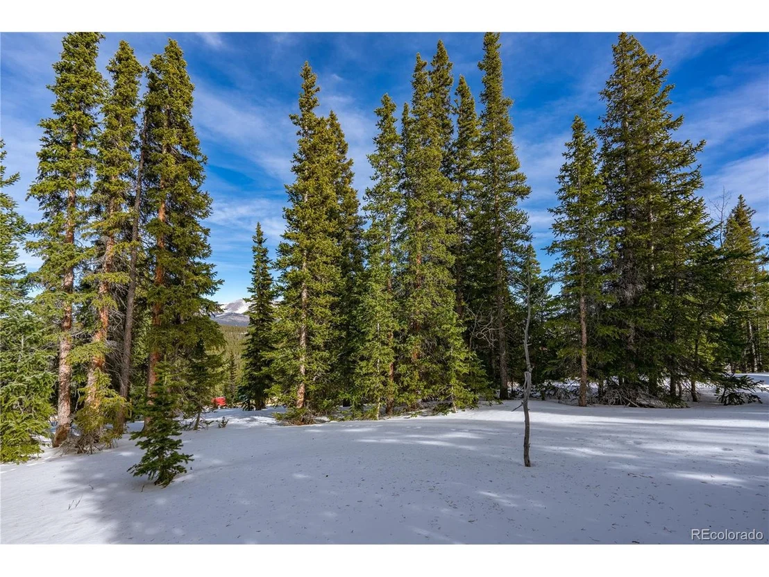 Photo of 503 Silverheels Pl