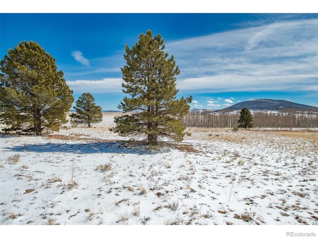 Photo of 1327 Sheep Ridge Rd