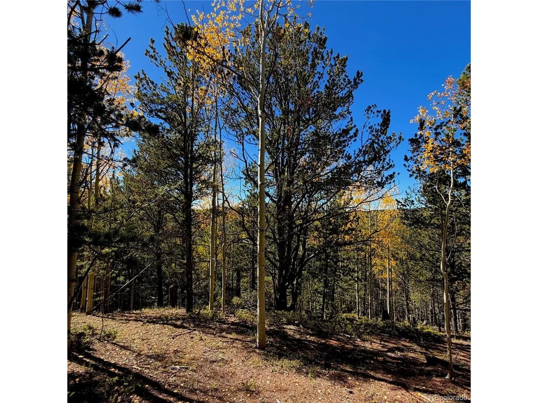 Photo of 773 Timber Ridge Rd