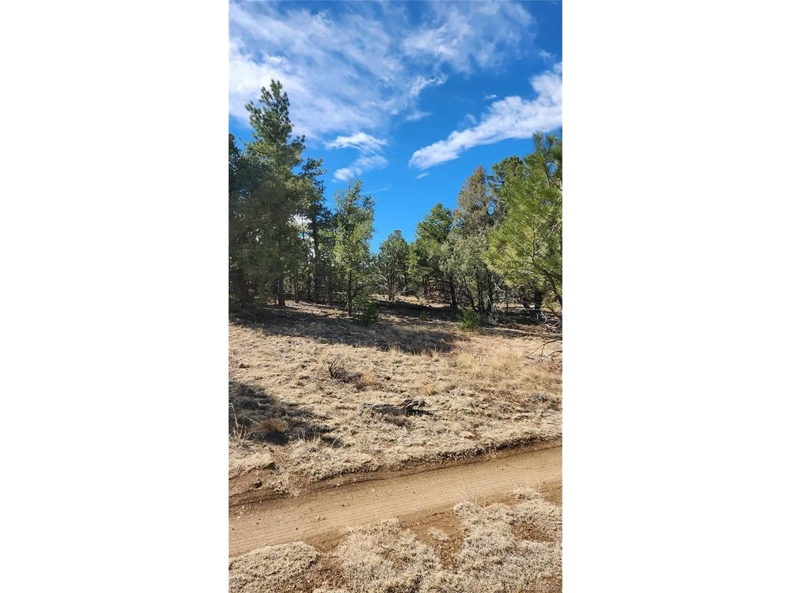 Photo of I Path