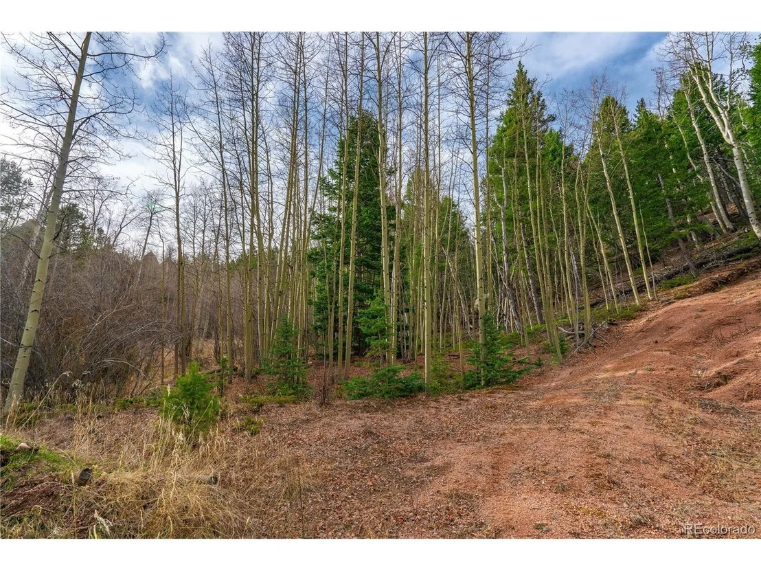 Photo of 130 Grey Eagle Way