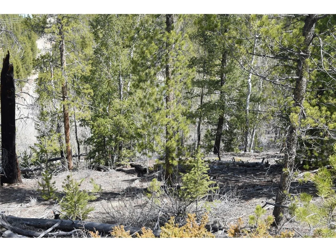 Photo of 483 Mt. Elbert Dr