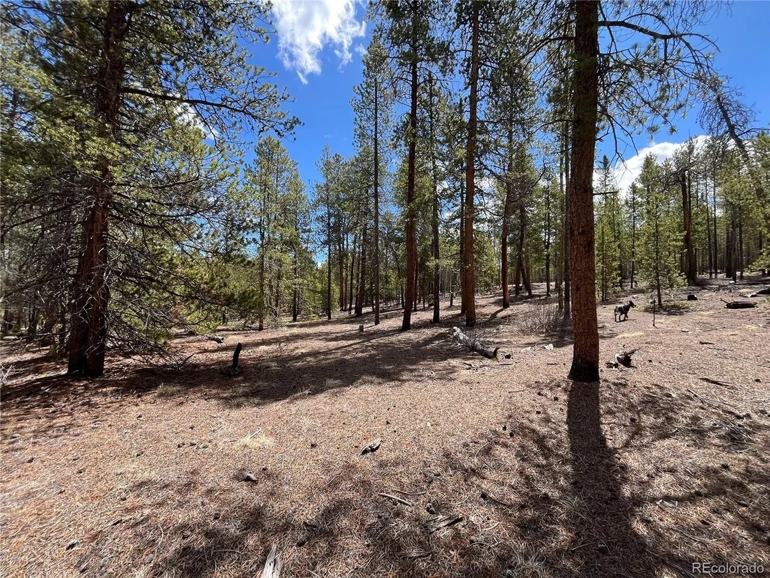 Photo of 1013 Sequoia Dr