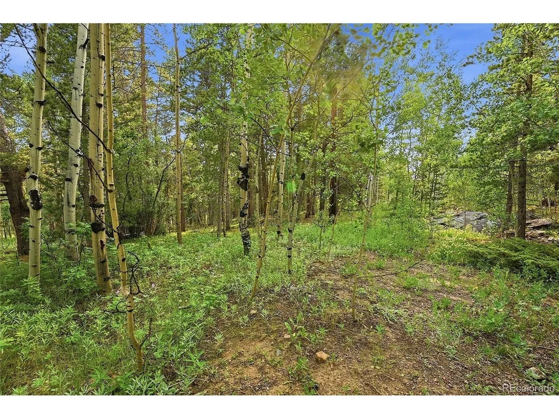 Photo of 464 Long Trail Rd