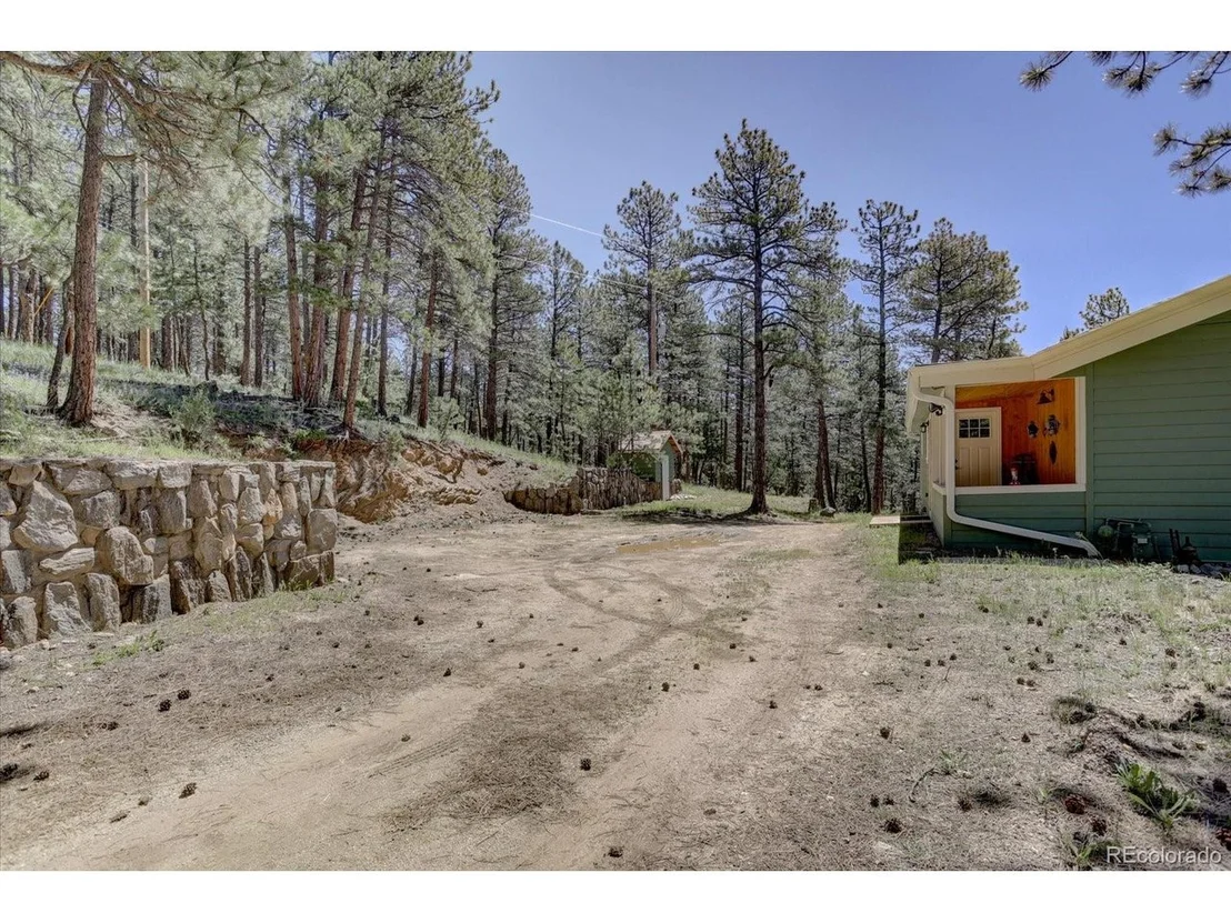 Photo of 29577 Larkspur