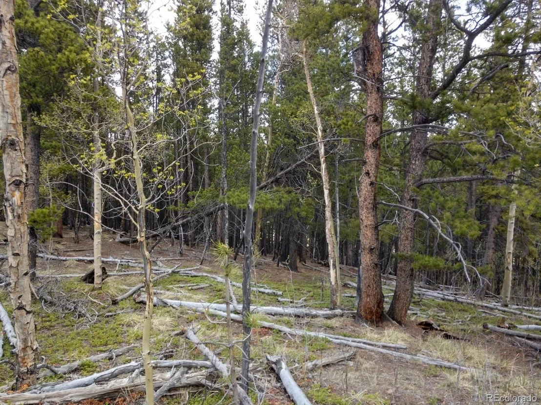 Photo of 317 Ski Doo Rd