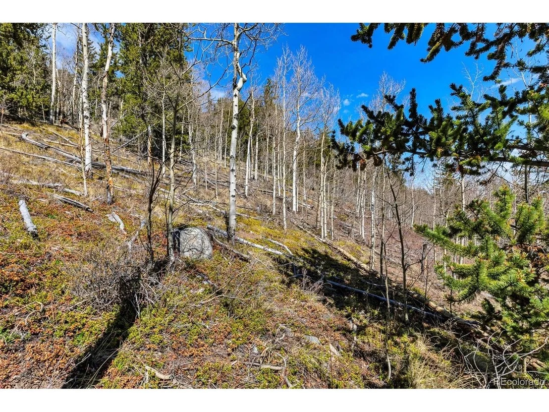 Photo of 270 Co Rd 667