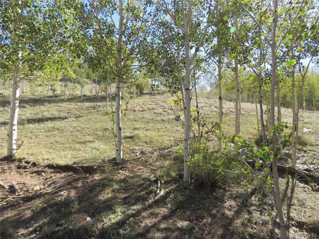 Photo of 12864 Elkhorn Rd