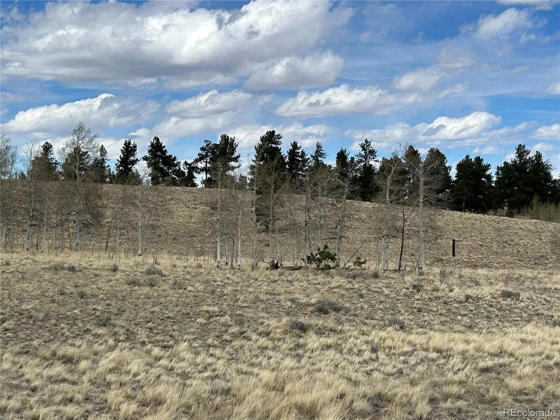 Photo of 187 Angus Cir