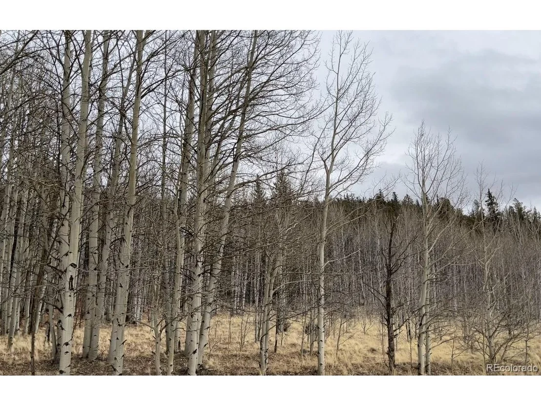 Photo of 688 Ouray Trl