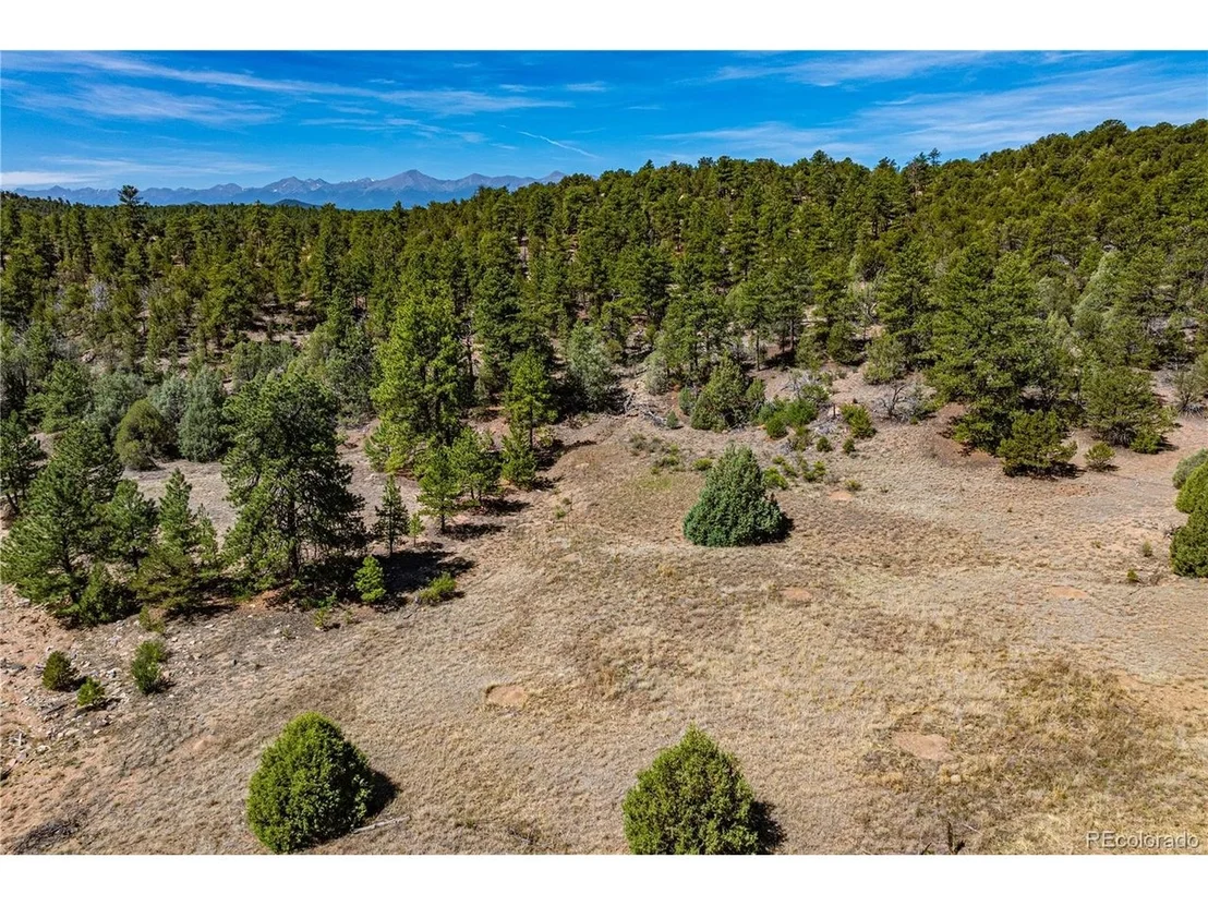 Photo of Arnold Dr
