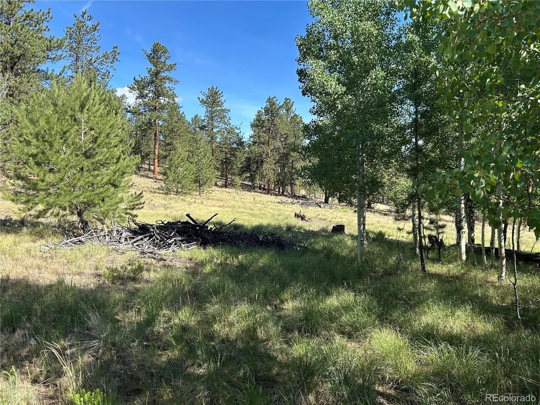 Photo of 519 Hayhook Way