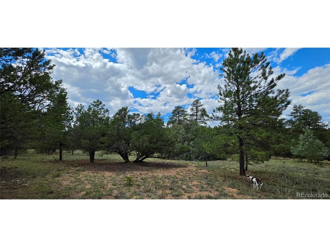 Photo of 638 Keith Ln