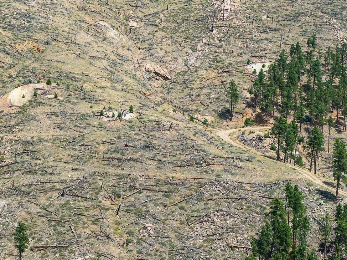 Photo of 6319 Sunshine Canyon Dr
