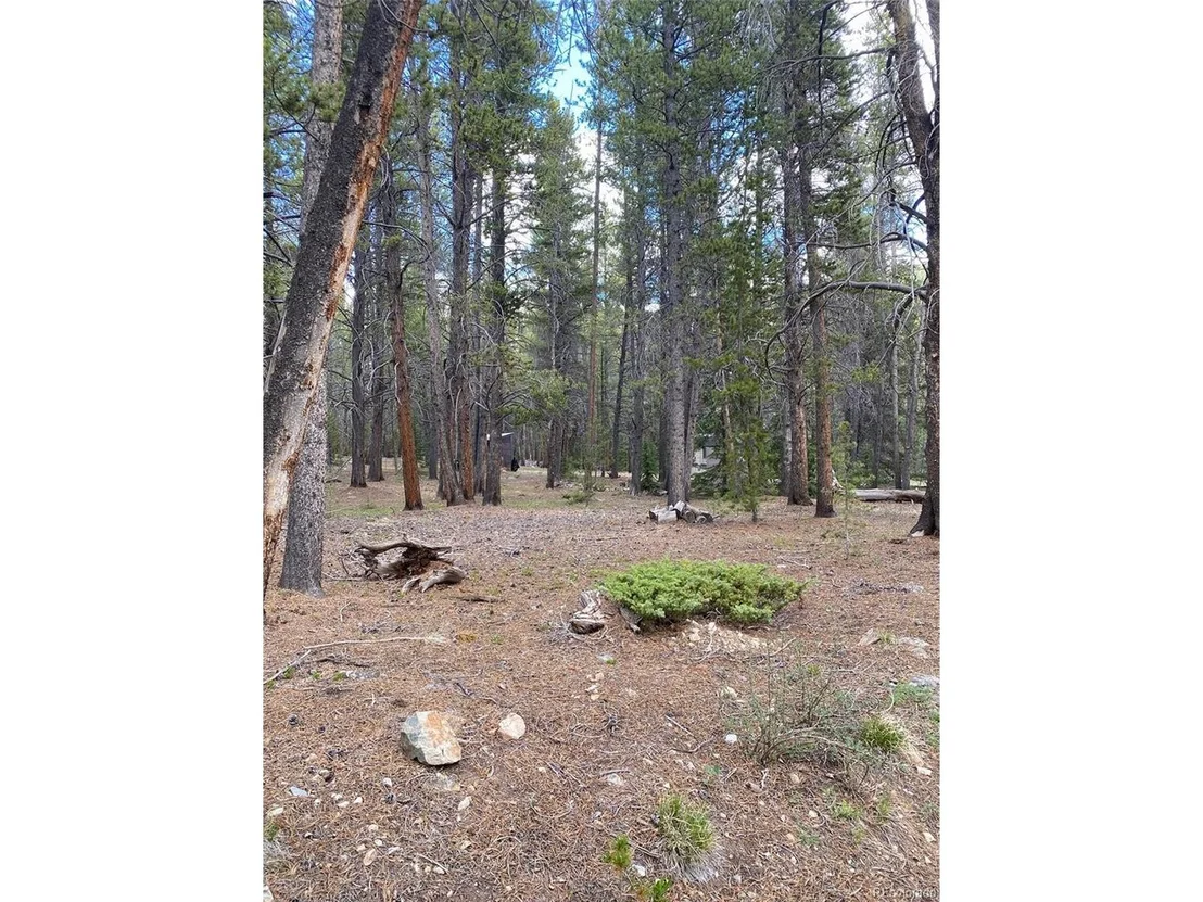 Photo of County Road 50