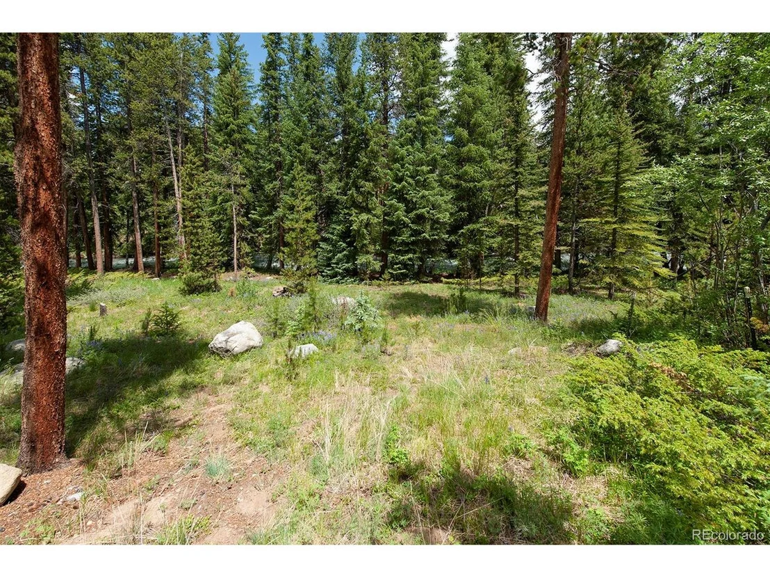 Photo of 44 Bear Tree Ct